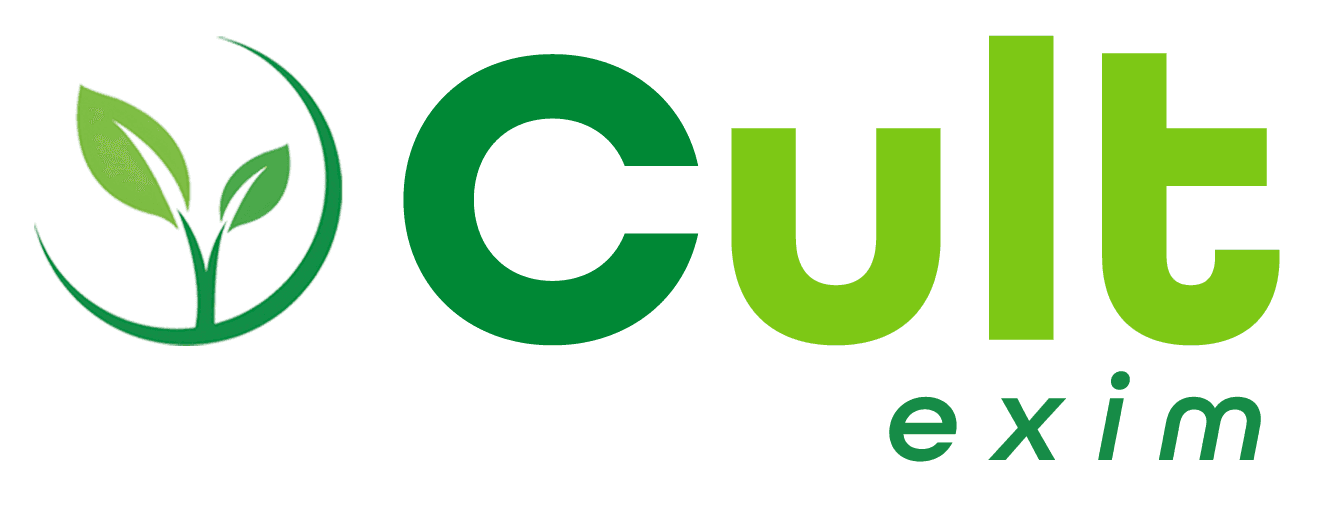Cult Exim Logo